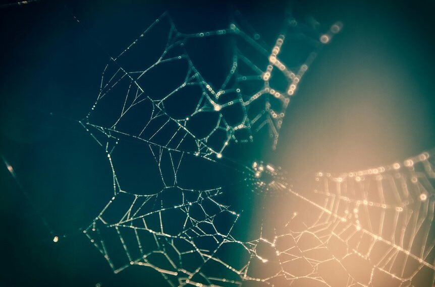 creative web network identifier code