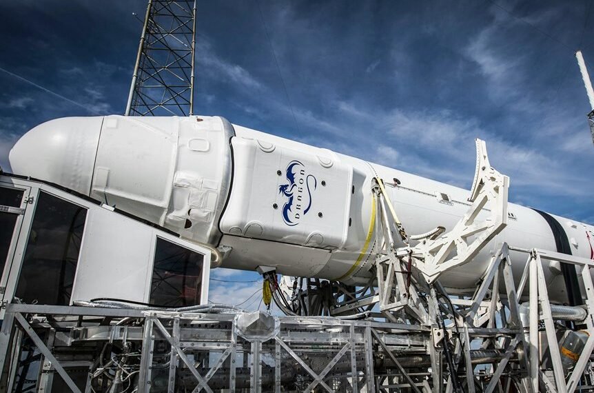 dynamic digital engine platform