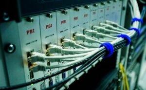 dynamic digital engine web network